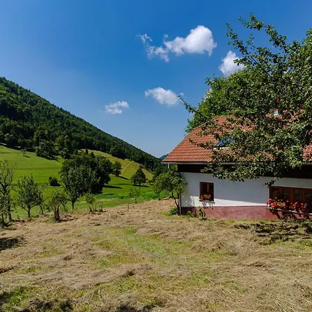 Appartamento Vrhivsek