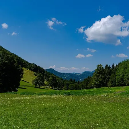 Vrhivsek * Frankolovo