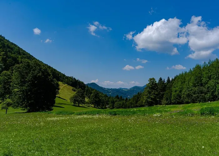 Vrhivšek * Frankolovo